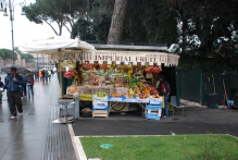 Italy - copyright by Reineke Otten